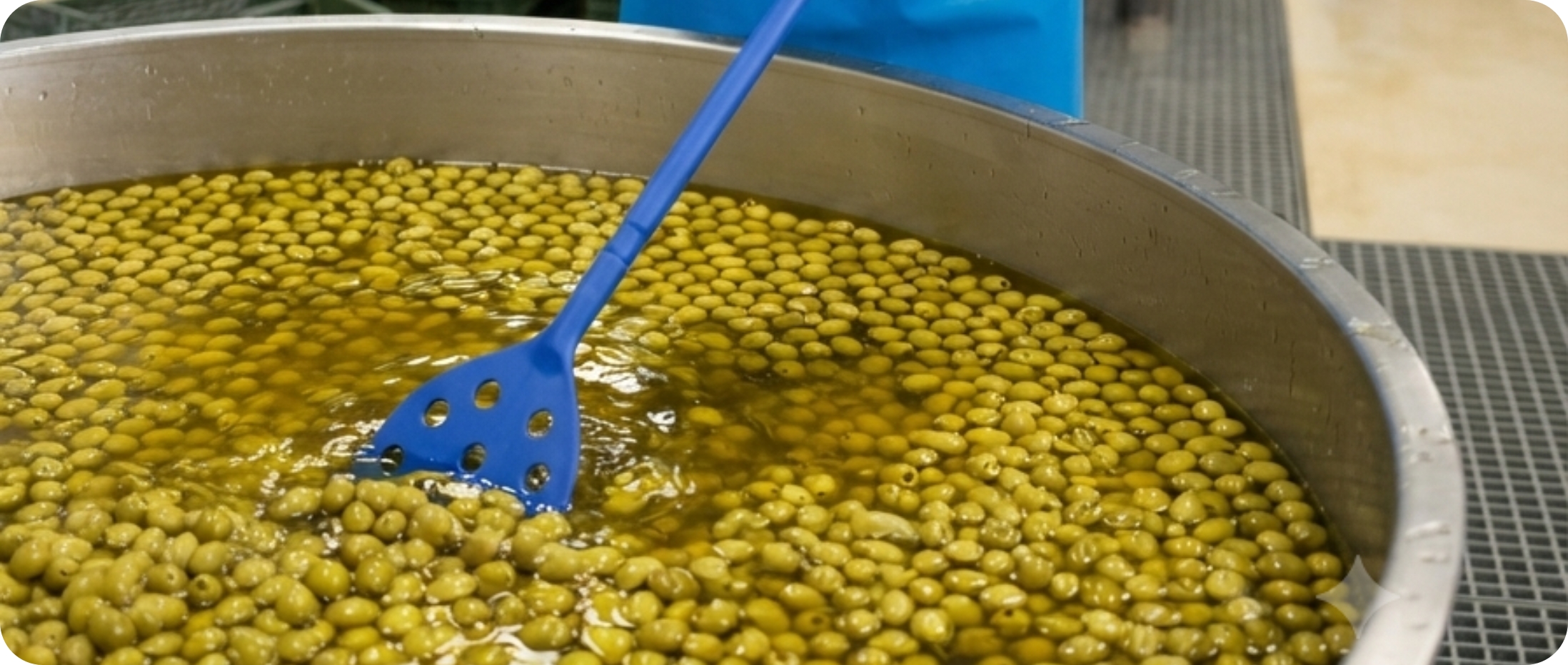 Pale agitatrici per alimenti. A cosa servono e quali tipologie esistono?